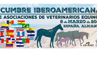 I Cumbre Iberoamericana de Asociaciones de Veterinarios Equinos