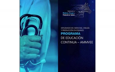 Programa de Educación Continua: Diplomado en Medicina, Cirugía y Producción en Equinos – AMMVEE