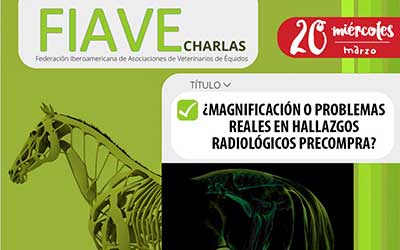 Charlas FIAVE (Vídeo Zoom) «¿Magnificación o problemas reales en hallazgos radiológicos precompra?» 20/03/2024