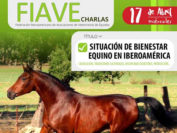 Charlas FIAVE (Zoom) «Situación de bienestar equino en Iberoamérica» 17/04/2024